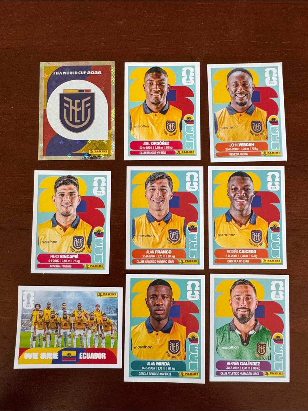 Panini FIFA Ecuador Football Team Sticker Pack Set